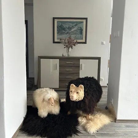 Vilka Aurora דירה